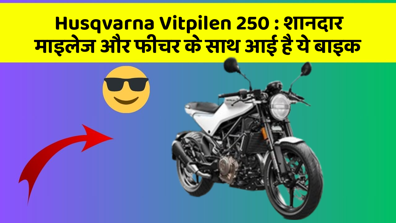 Husqvarna Vitpilen 250 : शानदार माइलेज और फीचर के साथ आई है ये बाइक